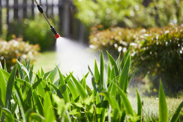 24/7 Emergency Fumigation Services experts in Chalco, NE